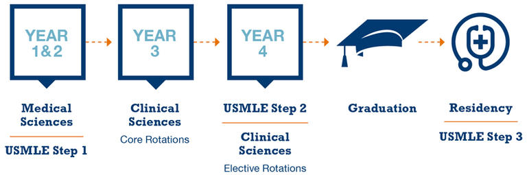 USMLE Curriculum Timeline