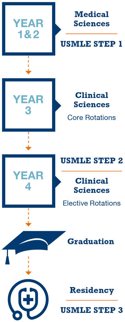 USMLE Curriculum Timeline - Mobile