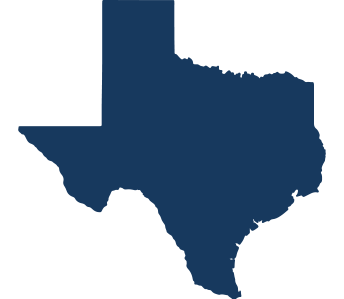 Texas state icon