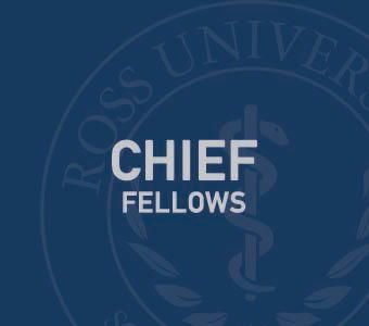 Graphic text of "Chief fellows"