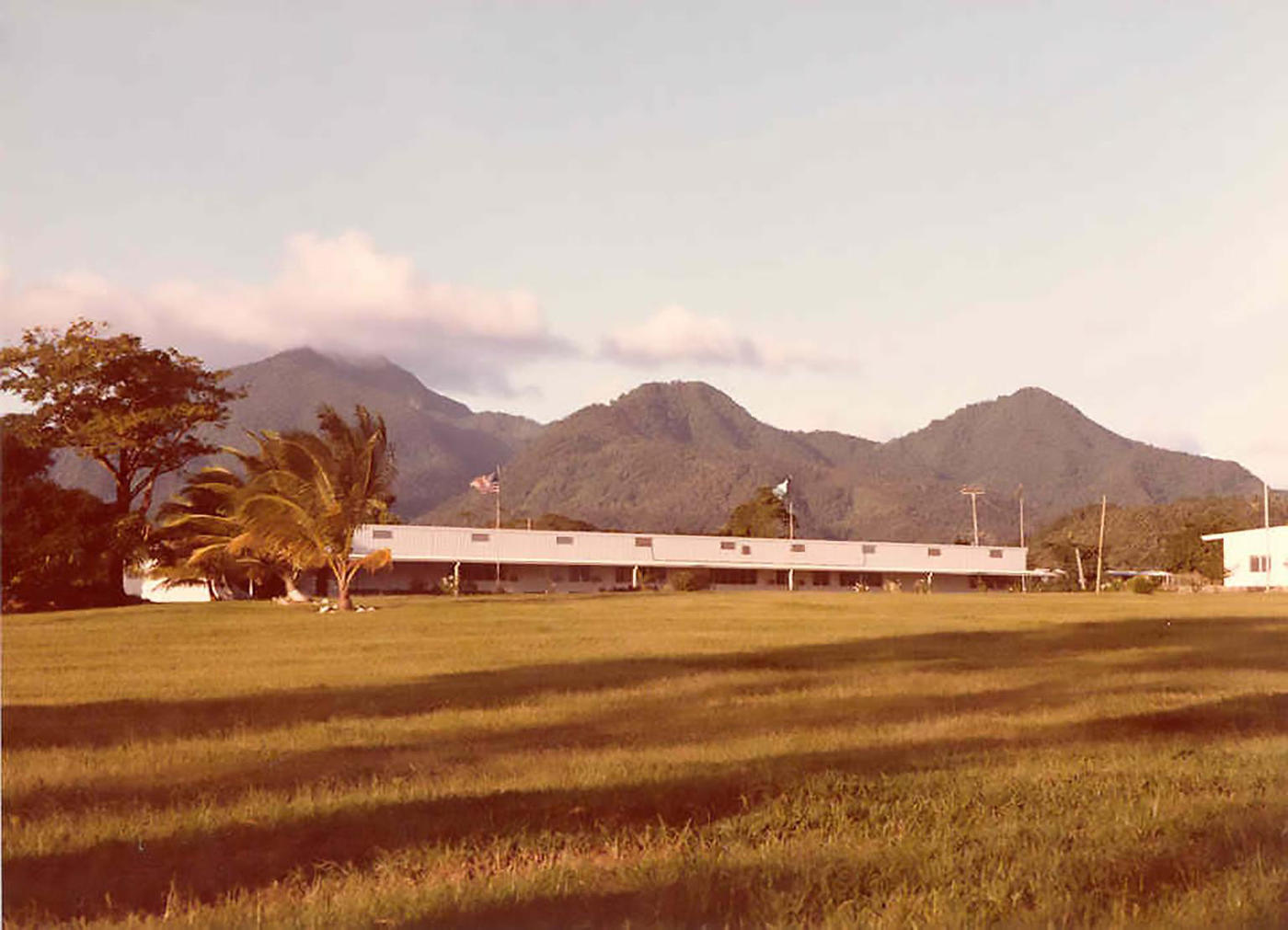 View of palm trees and mountains