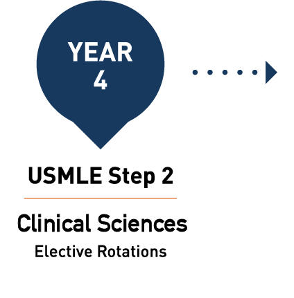Year 4 - USMLE Step 2 - Clinical Sciences- Elective Rotations