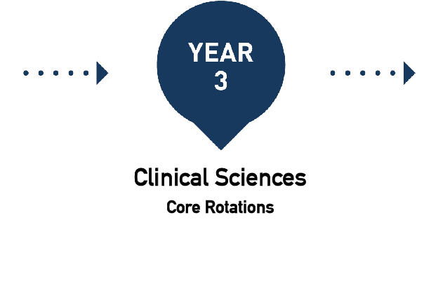 Year 3- Clinical Sciences- Core Rotations